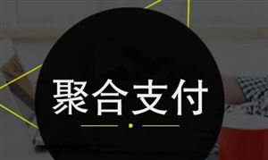 行業(yè)調(diào)研 聚合支付行業(yè)發(fā)展前景及投資方向分析