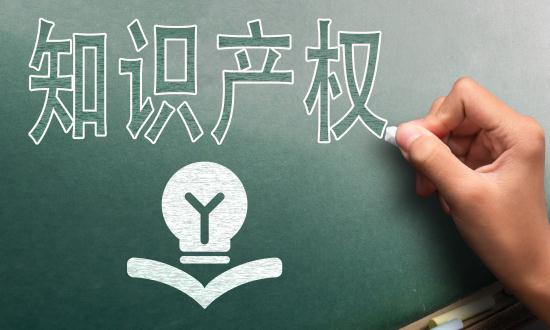 2024中國(guó)知識(shí)產(chǎn)權(quán)服務(wù)行業(yè)市場(chǎng)分析及發(fā)展前景預(yù)測(cè)