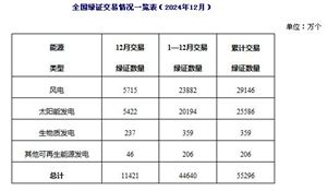 2025年中國(guó)綠色電力行業(yè)發(fā)展現(xiàn)狀及前景分析